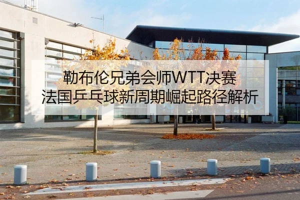 勒布伦兄弟会师WTT决赛 法国乒乓球新周期崛起路径解析